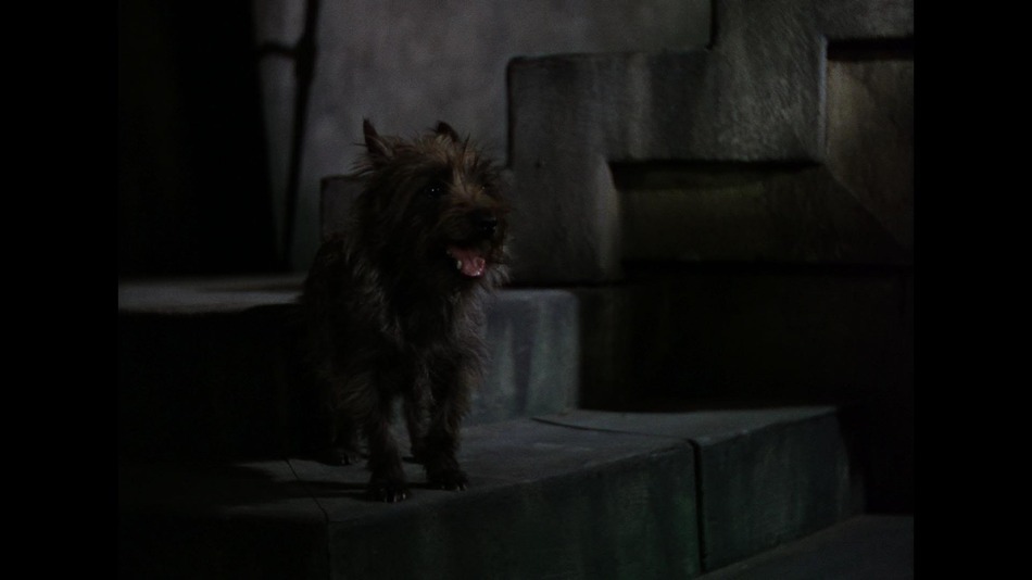 captura de imagen de El Mago de Oz - 70 Aniversario - Edición Coleccionistas Blu-ray - 8