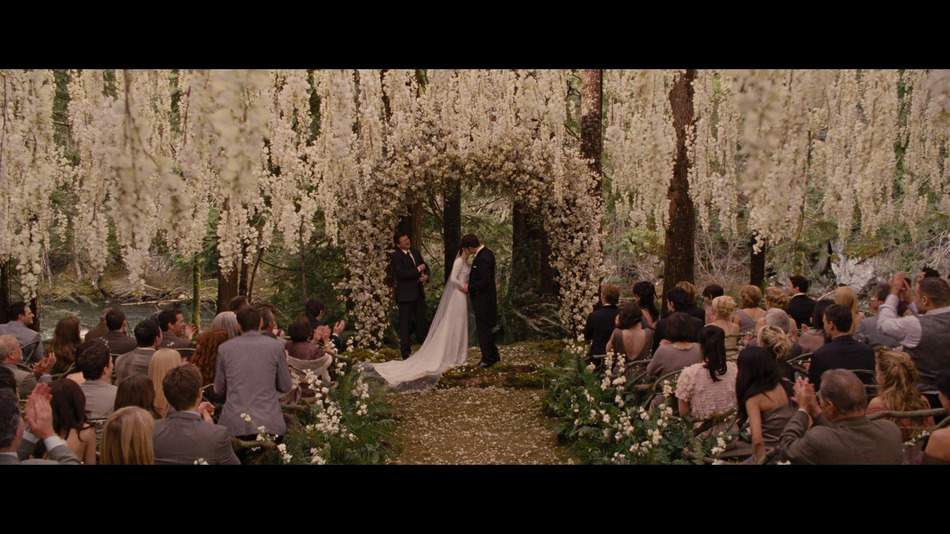 captura de imagen de Crepúsculo: Amanecer - Parte 1 (Edición Metálica) Blu-ray - 2