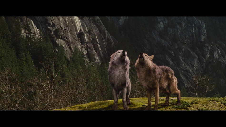captura de imagen de Crepúsculo: Amanecer - Parte 1 (Edición Metálica) Blu-ray - 7