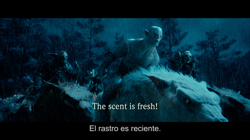 captura de imagen de El Hobbit: Un Viaje Inesperado Blu-ray - 14