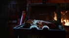 imagen de Gremlins - La Colección Blu-ray 1