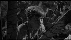 imagen de Matar a un Ruiseñor - Edición Libro Blu-ray 3