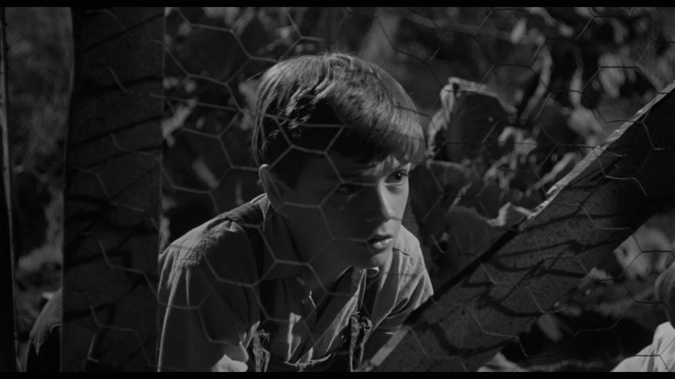 captura de imagen de Matar a un Ruiseñor - Edición Libro Blu-ray - 4