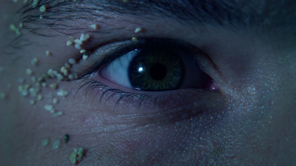 captura de imagen de Viaje al Centro de la Tierra 2: La Isla Misteriosa Blu-ray - 2