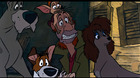 imagen de Oliver y su Pandilla Blu-ray 5