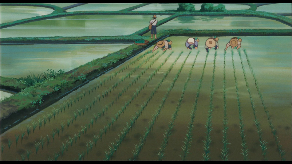 captura de imagen de Mi Vecino Totoro - Edición Deluxe Blu-ray - 5