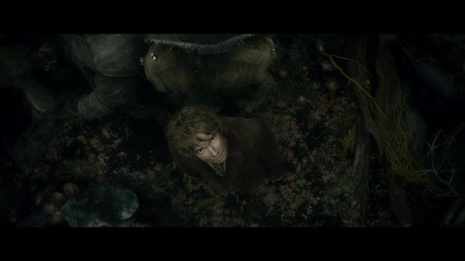 captura de imagen de El Hobbit: La Desolación de Smaug - Edición Especial Blu-ray - 8