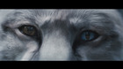 imagen de La Leyenda del Samurái: 47 Ronin Blu-ray 5