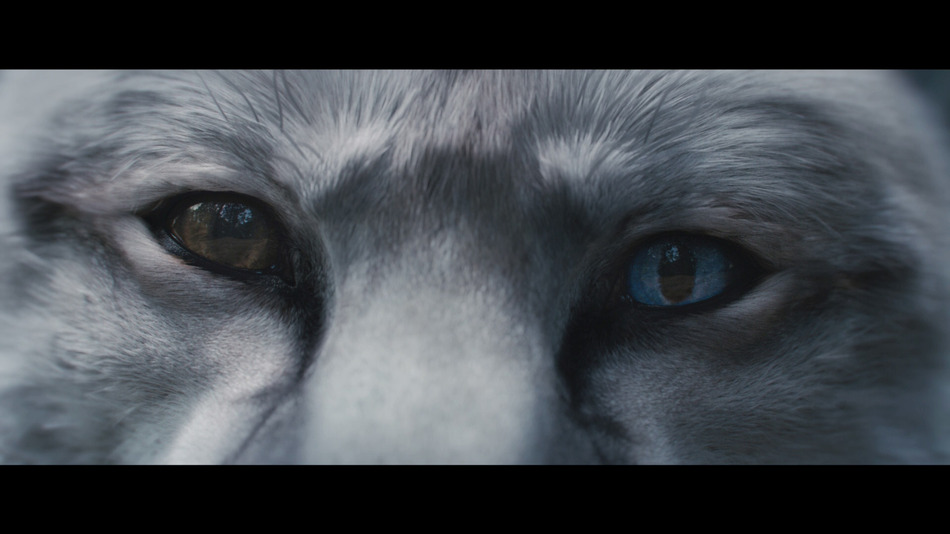 captura de imagen de La Leyenda del Samurái: 47 Ronin Blu-ray - 6