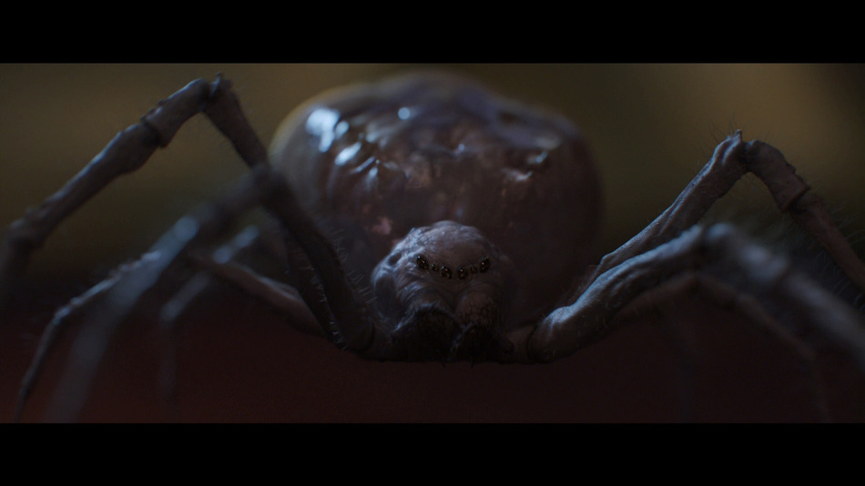 captura de imagen de La Leyenda del Samurái: 47 Ronin Blu-ray - 19