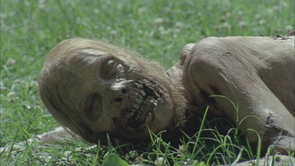 captura de imagen de The Walking Dead - Primera Temporada Blu-ray - 7