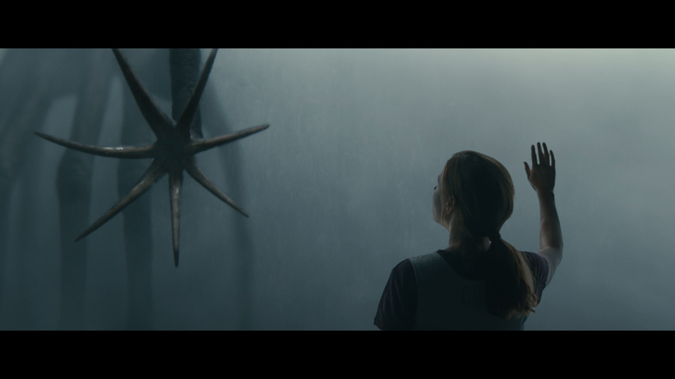 captura de imagen de La Llegada - Edición Metálica Blu-ray - 7