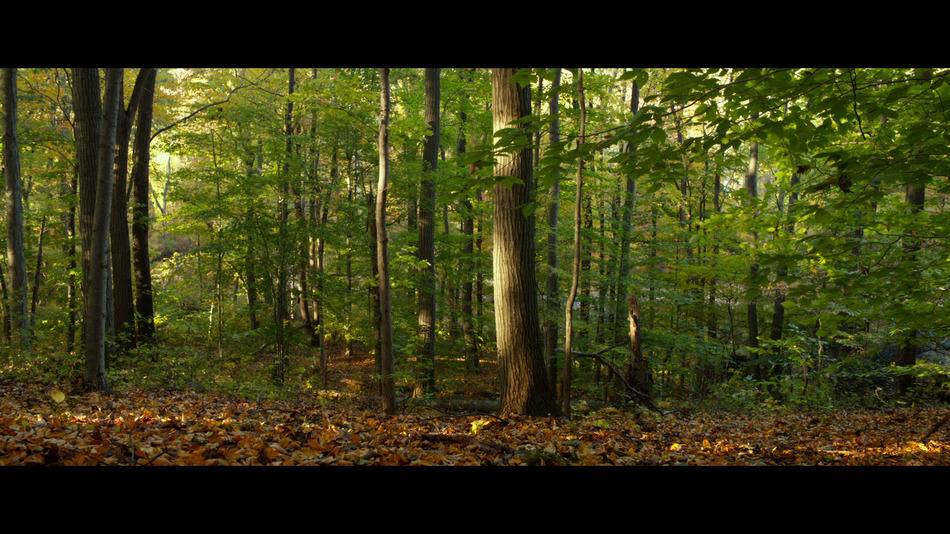 captura de imagen de Múltiple Blu-ray - 9