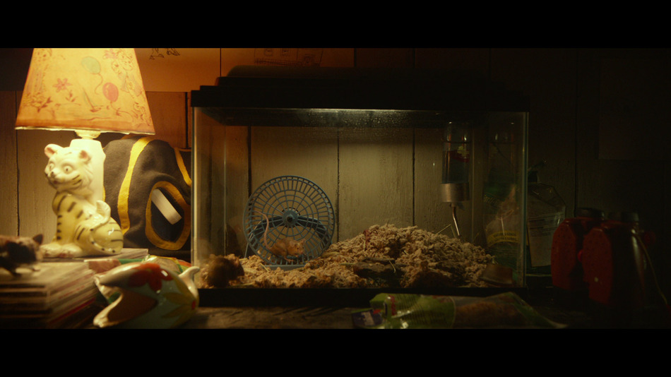 captura de imagen de Múltiple Blu-ray - 16