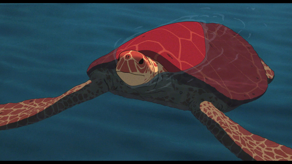 captura de imagen de La Tortuga Roja - Edición Coleccionista Blu-ray - 10