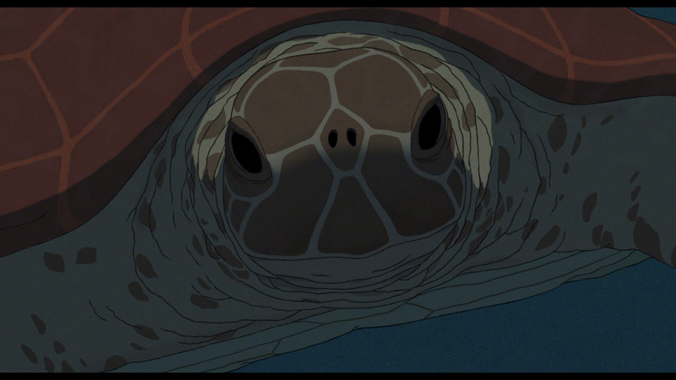 captura de imagen de La Tortuga Roja - Edición Coleccionista Blu-ray - 12