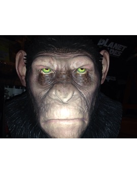 Planet of the Apes Caesar's Primal Collection 2014