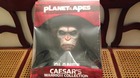 Planet-of-the-apes-caesars-warrior-collection-2014-c_s