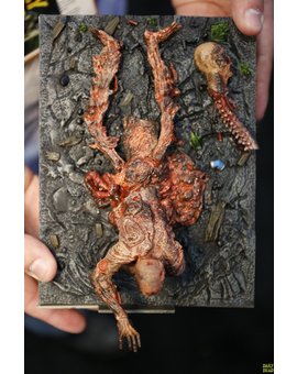 DAILY DEAD desvela imágenes oficiales de la edición limitada de la 5ª temporada de "The Walking Dead".