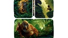 Diseno-del-steelbook-de-the-jungle-book-c_s