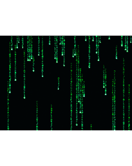 La edición UHD 4K de Matrix ya tiene fecha de lanzamiento.