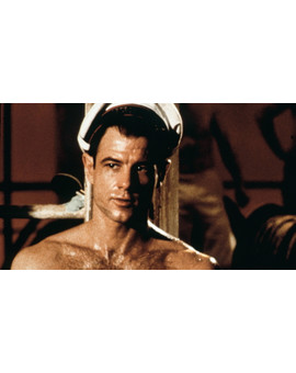 Querelle de Fassbinder anunciada oficialmente.