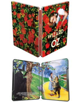 Si os interesa este steelbook 4K...