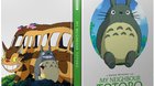 Totoro-c_s
