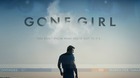 Y-por-fin-vi-gone-girl-c_s