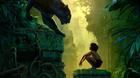 The-jungle-book-poster-c_s