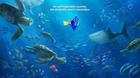 Finding-dory-c_s