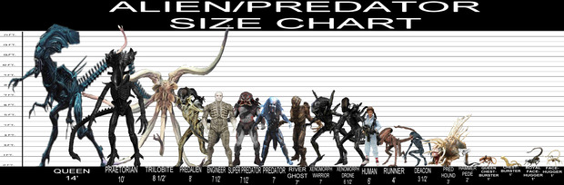 Tamaños Alien, Predator,....