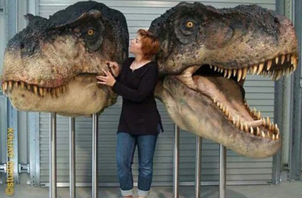 Posibles T-Rex en Jurassic World (Macho y hembra)