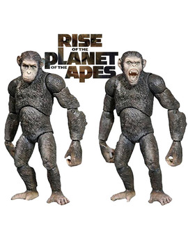 Caesar de "Rise of Planet of the Apes" , mi última adquisición