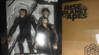 Caesar-de-rise-of-planet-of-the-apes-mi-ultima-adquisicion-2-c_s