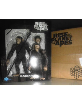 Caesar de "Rise of Planet of the Apes" , mi última adquisición 2