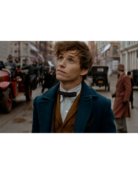 Opinión "Animales fantásticos y dónde encontrarlos" [Sin Spoilers]