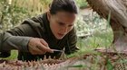 Annihilation-otra-para-netflix-c_s