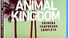 Serie-animal-kingdom-c_s