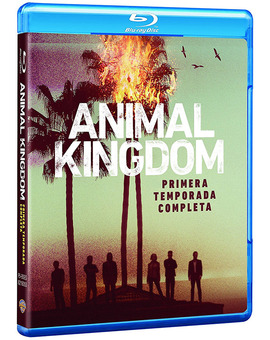 Serie Animal Kingdom