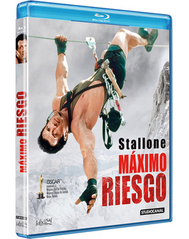 Maximo Riesgo Divisa 