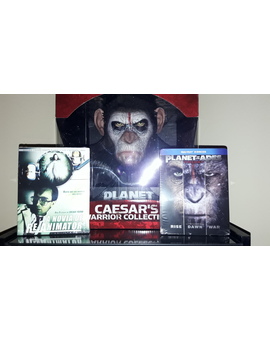 Mi compra De Hoy 20/11/17