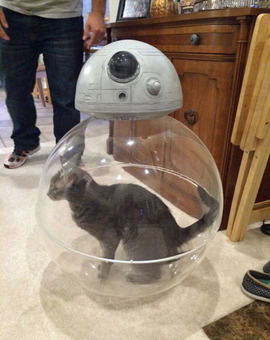 Así funciona el BB8