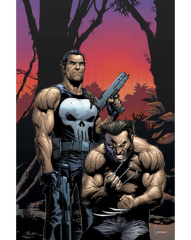 De acuerdo con la Trivia (IMDB) de Avengers: Infinity War, Wolverine y The Punisher podrían tener una aparición en la película. ¿Os gustaría que sucediera esto?