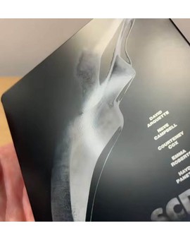 Steelbook francés con relieves SCREAM 4 (2)
