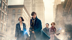Critica-animales-fantasticos-y-donde-encontrarlos-de-david-yates-2016-c_s