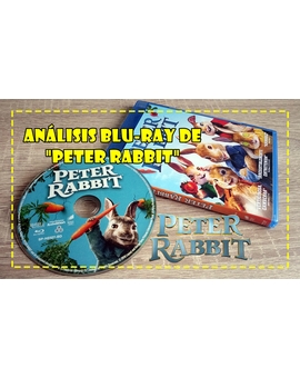 Análisis de "Peter Rabbit"