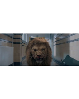 Trailer oficial de ‘Prey’... ¡la fiera anda suelta!