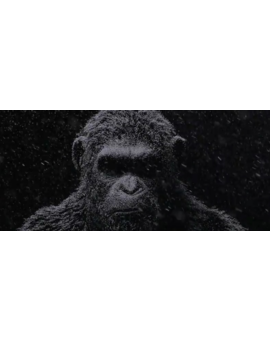 Fecha de estreno en España para ‘La Guerra del Planeta de los Simios’