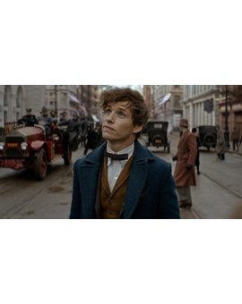'Animales Fantásticos': David Yates dirigirá las cinco entregas de la saga